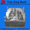 Plastic Auto Lamp Mould 1