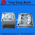 Plastic Injection Auto Lamp Mould 2