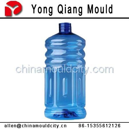 Blowing Bottle Machine Mould 4