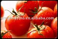 lycopene powder 5%~90%HPLC