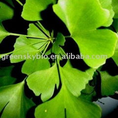 ginkgo biloba extract