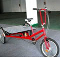 E Flatbed tricycle 1