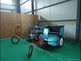 Electric 500W Three wheel car 2