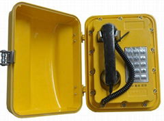 Weatherproof Emergency Telephone