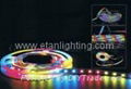 RGB LED Strip (ELSL-5050RGB-54L120)