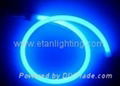 LED Neon Light (ELFL-B)