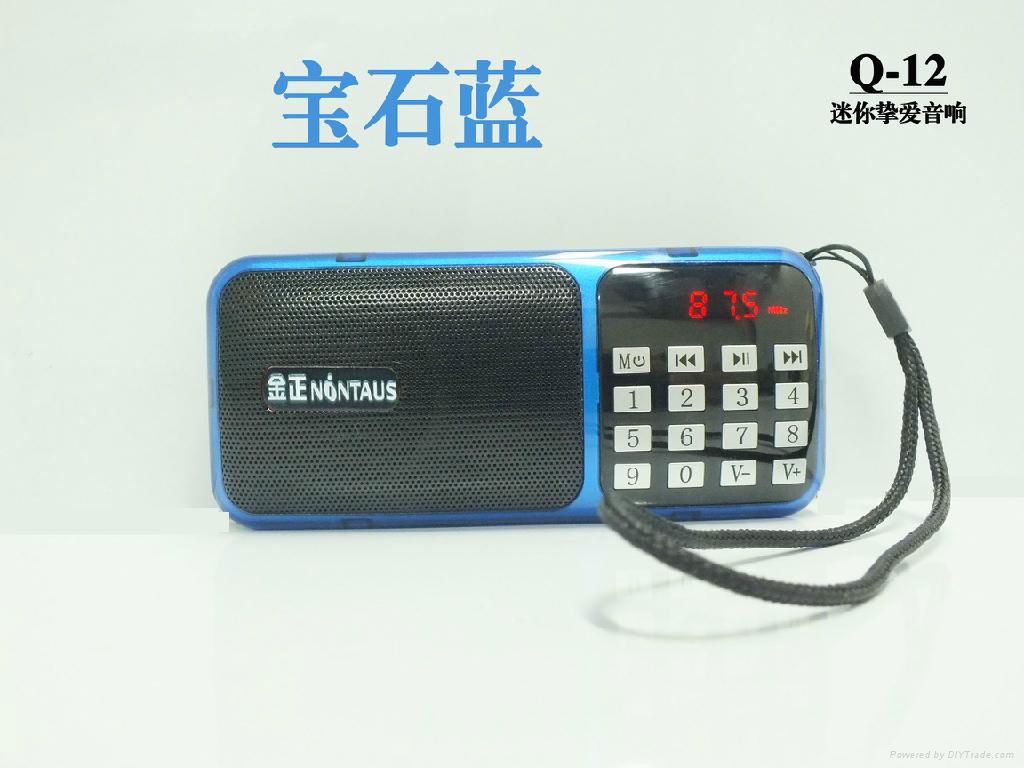 金正Q-12 2