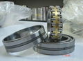 cylindrical roller bearing SL series,NU