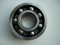 Europe best selling Deep Groove Ball Bearing 6300