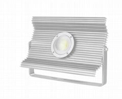 new style nation patent High powe induction Led Flood light  with IP67 UL for ou