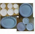 biodegradable sugarcane tableware 1