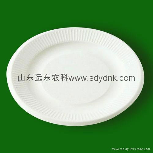 disposable eco-friendly dishes