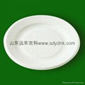 disposable eco-friendly dishes 1