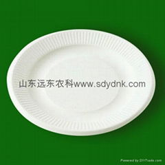 disposable eco-friendly dishes