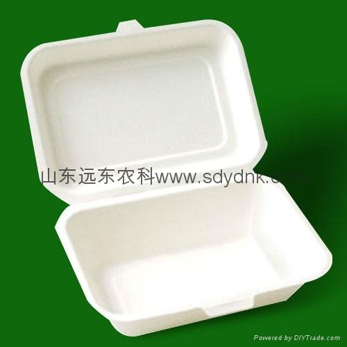 disposable eco-friendly sugarcane lunch box