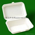 disposable eco-friendly sugarcane lunch box 1