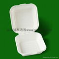 bagasse tableware biodegradable lunch