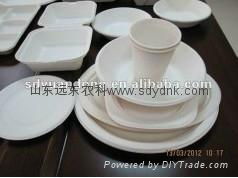 disposable biodegradable bagasse tableware