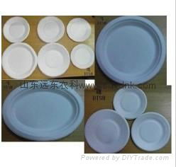 biodegradable bagasse bowls 2