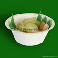 eco-friendle tableware biodegradable sugarcane bowl