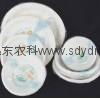 disposable sugarcane bagasse dishes