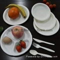 disposable biodegradable bagasse dishes 1