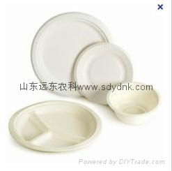 biodegradable disposable dishes