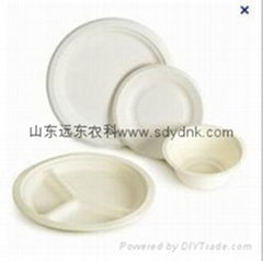 biodegradable disposable dishes