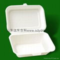 disposable biodegradable lunch box