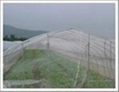 Anti Insect Netting 3