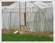 Locust Breeding Netting 2