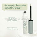 Brand New Mascara Brand FEG EyeLash Mascara Best Quality 