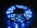 LED,lighting,SMD 3528 strip light,60leds/meter,