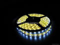 LED,lighting,SMD 3528 strip light,60leds/meter, 2