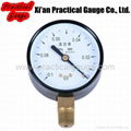 Vacuum Gauge 1