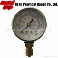 CNG Pressure Gauge 3