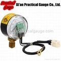 CNG Pressure Gauge 4