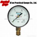 Oxygen Gauge 1