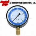 Standard Pressure Gauge