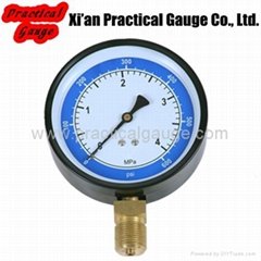 Standard Pressure Gauge