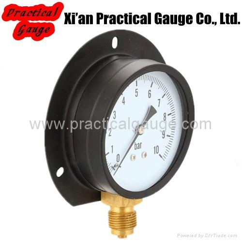 Standard Pressure Gauge 4