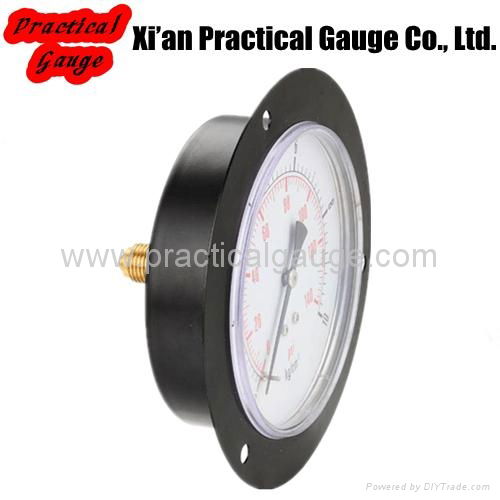 Standard Pressure Gauge 5