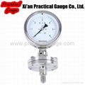 Diaphragm Pressure Gauge 1