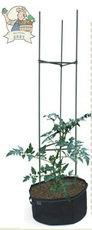 Tomato Planter(31091)