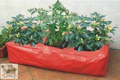 Vegetable Planter(31199)