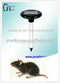 Solar Power Rodent Repellent GH-316 2