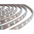 SMD5050 LED flexible strip light 1