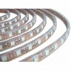 SMD5050 LED flexible strip light