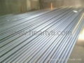 Nickel Tube /Pipe