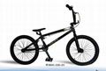 FREESTYLE BICYCLE 1